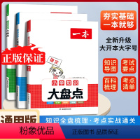 人手一套[语文+数学+英语]知识大盘点 小学通用 [正版]2023小学知识大盘点语文数学英语基础知识大盘点 小学知识大全