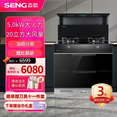 森歌(SENG) 集成灶 M3S集成消毒柜一体烟机侧吸燃气灶消毒柜厨房套装二星级消毒柜 钢化玻璃 液化气