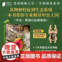 正版 甲虫 普林斯顿大学生物图鉴 300余幅高清甲虫图片 甲虫物种知识 甲虫与其他生物相互影响制约的关系 自然昆虫科