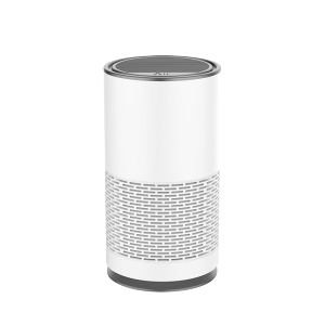 泰迪信 TDSBK01 车载空气净化器 1 个