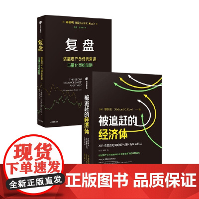 复盘+被追赶的经济体 辜朝明 著 经济