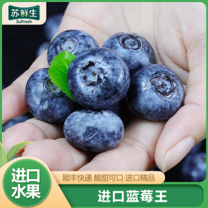 [苏鲜生]顺丰快递 秘鲁进口蓝莓王 个头饱满 4盒 125g/盒 口感甜蜜