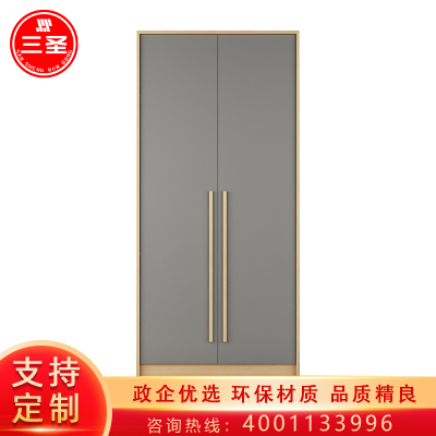 三圣 衣柜两门衣柜北欧风平开门衣柜实木拉手 卧室家具衣橱灰色