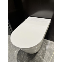 挂墙式智能马桶ZQ2640-S0-CJM