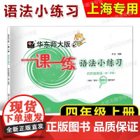 2025华东师大版一课一练语法小练习英语N版沪教版牛津版三年级第一学期/3年级上上海牛津版英语配套教辅华东师范大学出版社