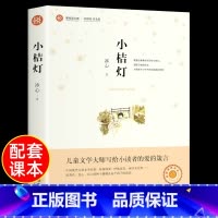 [单本]小桔灯 [正版]青铜葵花草房子曹文轩 江苏少年儿童出版社 原著纯美小说系列儿童文学青少年版 四五六年级下册必课外