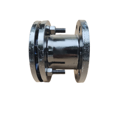 智铮朗月 甲管补偿器 DN100 个