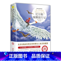 尼尔斯骑鹅旅行记 [正版]爱的教育六年级必读上册原著完整版意大利亚米契斯著三四五六年级老师必读的课外书小学生阅读书籍文学