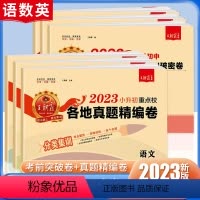 [各地真题汇编]语文 小学升初中 [正版]王朝霞小升初试卷重点各地真题精编卷语文数学英语全套六年级升七年级初中小学毕业总