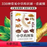 [正版]中草药图鉴 中药材大百科本草纲目彩色图鉴 中医入门初学者常见中草药识别中医养生药学中药书籍大全大辞典处方调理中