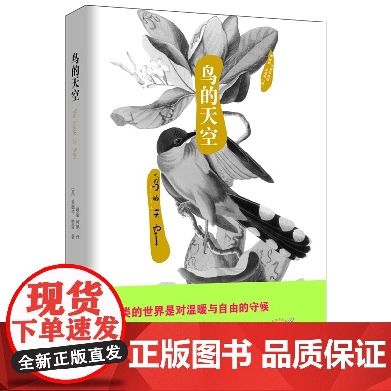 自然美文系列:鸟的天空(英国最伟大的鸟类观察手记,百年传世美文) 爱德华·格雷 重庆出版社 正版书籍