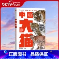 [正版]央视网中国大猫 吕植著中国国家地理科普读物 猫图鉴猫百科全书猫科生物图鉴猫科动物图鉴出版社DL