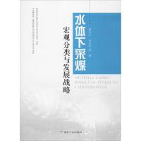 正版新书]水体下采煤宏观分类与发展战略康永华9787502055523