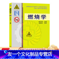 [友一个正版] 燃烧学 陈长坤 林其钊 高等教育安全科学与工程类系列规划教材 9787111389590 机械工业