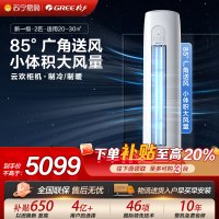 格力空调云欢新能效2匹变频冷暖柜机空调 KFR-50LNhGr1Bt 家用冷暖低音 新一级能效