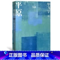 [正版]平原毕飞宇著茅盾文学奖鲁迅文学奖英仕曼亚洲文学奖获得者长篇小说代表作细致入微直面乡土人性与欲望人民文学出版社