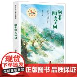 刷着阳光的树