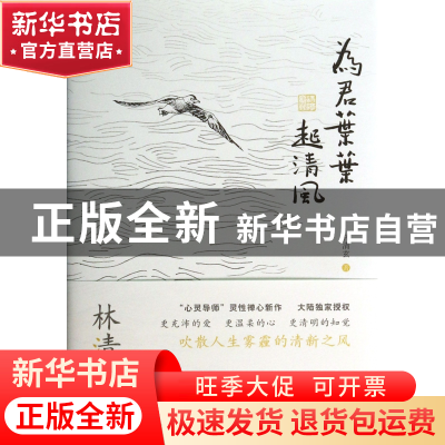 正版 为君叶叶起清风(精) 林清玄 河北教育 9787554504314 书籍