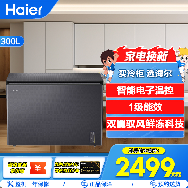 海尔(Haier) BC/BD-300WGHEC