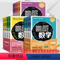 全14册]挑战数学初级+中级+高级 [正版] 挑战数学初级+中级+高级全14册 幼小数学衔接 儿童数学启蒙思维培养 举一