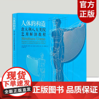 人体的构造意大利八大美院艺用解剖教程插画师美术艺术考生必备教程多视角分析立体模型全彩配图湖南美术出版社