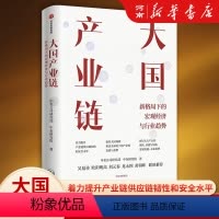 [正版]大国产业链 新格局下的宏经济观与行业趋势 中金公司研究部 等著