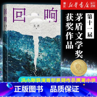 回响[典藏版] [正版]十一届茅盾文学奖 回响 东西长篇力作 拆解心理现实和生活真相+情感推理侦破推理小说模式 冯小刚