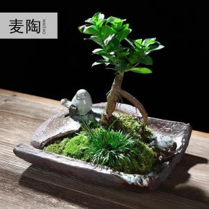 美帮汇创禅意新中式哥窑陶瓷花盆小叶榕树盆栽盆景家用办公室净化空气