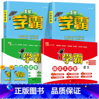 4本 [学霸作业本+提优大试卷]语文+数学(人教版) 六年级下 [正版]2024春新经纶小学学霸提优大试卷一年级下册二四