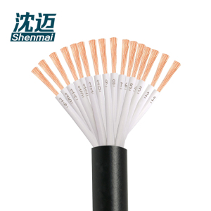 沈迈 护套软电线 ZR-RVV-16*1.0mm²/米