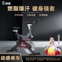 晟渊 健身房级家用运动器材室内自行车动感单车 YSR425