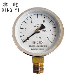 祥屹 压力表检测定制型 Y40 块