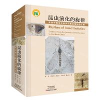 [N]昆虫演化的旋律(来自中国北方侏罗纪和白垩纪的证据)(精)-9787572512278