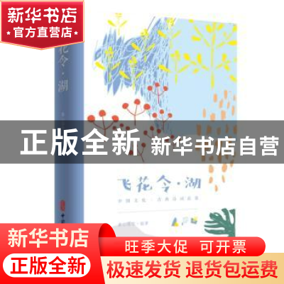 正版 飞花令·湖 素心落雪 中国文史出版社 9787520505918 书籍