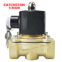 卡西斯顿 管道电磁阀 2W040-10 个
