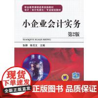 小企业会计实务(第2版)