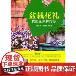 盆栽花礼 我把花束种给你