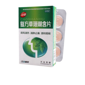 江中复方草珊瑚含片24片疏风清热消肿止痛清利咽喉咽喉炎