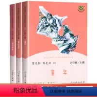 []六年级上册快乐读书吧 [正版]快乐读书吧六年级下册鲁滨逊漂流记汤姆索亚历险记爱丽丝漫游奇境全套人教版原著人民