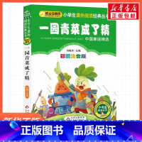 一园青菜成了精 [正版]彩图注音版一园青菜成了精刘敬余一年级二年级三年级上册下童话文学睡前读物图书本小学生课外阅读书籍少