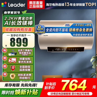 海尔(Haier)智家出品Leader统帅热水器[咨询客服享补贴] 电热水器60升LD5S一级能效出租房家用小尺寸