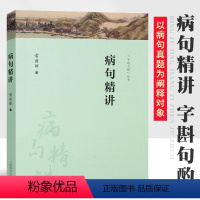 [正版]病句精讲 常丽丽 中考高考病句真题 现代汉语语法知识 语法相关知识点 语言文字书籍现代汉语语法知识体系 语法知