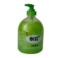 炯毅 洗手液抑菌去污清洁洗手液成人儿童通用 随机发货 洗手液 500g 瓶