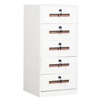 慧采云 钢制文件柜矮柜收纳整理柜资料柜铁皮柜档案柜办公抽屉柜带锁