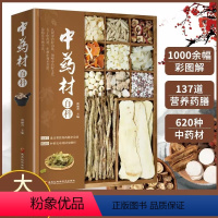 [正版]书中药材百科中药材书籍大全 图解中草药材中药配方大全中药书籍大全中药材图谱 彩图处方调理中医养生书籍