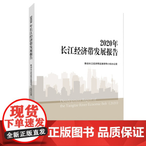2020年长江经济带发展报告