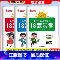 作业本 小学升初中 [正版]2024新版阳光同学小学毕业升学复习18套试卷语文数学英语全套练习题小升初必刷题人教版六升七