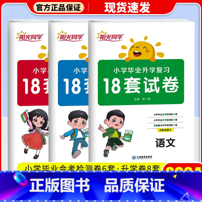 作业本 小学升初中 [正版]2024新版阳光同学小学毕业升学复习18套试卷语文数学英语全套练习题小升初必刷题人教版六升七