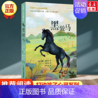 黑骏马 [正版] 柳林风声 新版 能打动孩子心灵的世界经典童话 中国儿童文学 7-12岁少儿中小学生课外阅读书籍教辅 亲