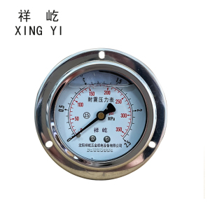 祥屹 耐震压力表(轴向带边) YN60ZT 块